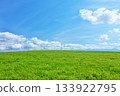 北海道夏日藍天與清新綠草甸風光 133922795