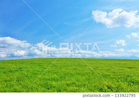 Hokkaido summer blue sky and fresh green meadow scenery 133922795