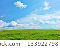北海道夏日藍天與清新綠草甸風光 133922798