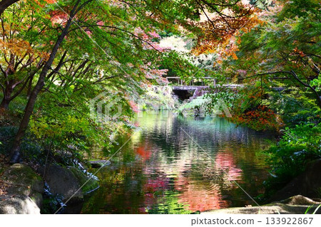 Autumn atmosphere at Tokugawa Garden 133922867