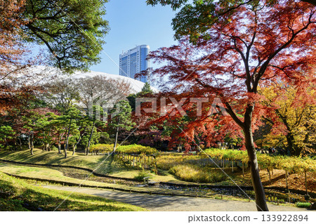 Koishikawa Korakuen Garden, Tokyo - Autumn foliage scenery near the Furou-sui waterfall, wisteria trellis, and iris fields - National Historic Site Koishikawa Korakuen Garden, Tokyo - Autumn foliage scenery near the Furou-sui waterfall, wisteria trellis, and iris fields - National Historic Site 133922894