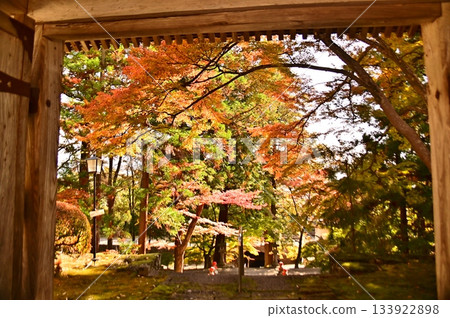 Autumn leaves seen through the temple gate 133922898