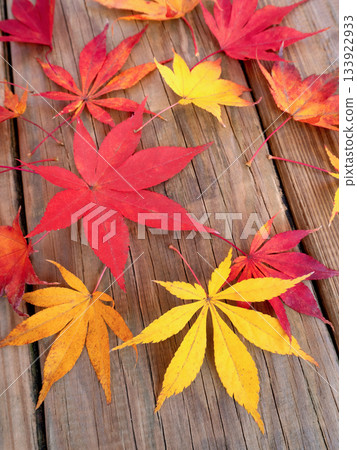 Autumn leaves maple leaves 133922933