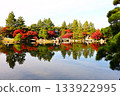 秋葉倒映在龍泉湖（德川庭園）的秋景 133922995