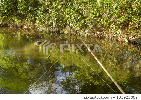 Kappa deep in Tono Iwate prefecture Kappa deep in Tono Iwate prefecture 133923062