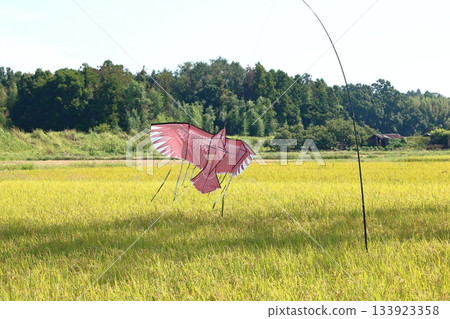 A bird-repellent kite dancing leisurely in the autumn breeze A bird-repellent kite dancing leisurely in the autumn breeze 133923358