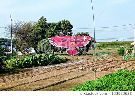 一隻驅鳥風箏在秋風中悠然舞動 133923628
