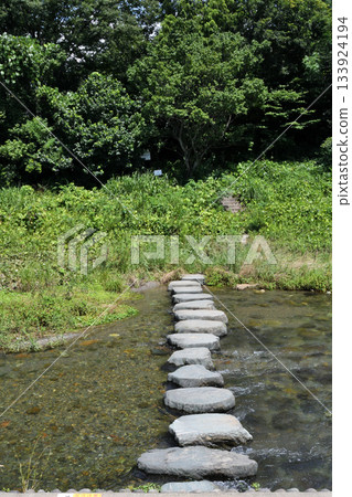 盛夏時節，都岐川沿岸清爽的濱水步道 133924194