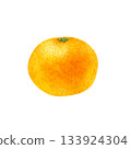 Mandarin orange fruit watercolor illustration 133924304