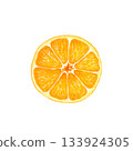 Mandarin orange fruit cross section watercolor illustration 133924305