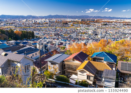 Tokyo: Residential areas and the Tokyo suburbs Tokyo: Residential areas and the Tokyo suburbs 133924490