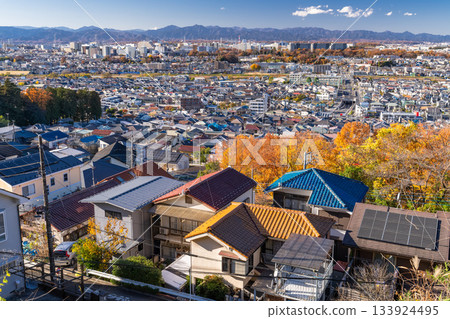 東京:住宅區和東京郊區 東京:住宅區和東京郊區 133924495