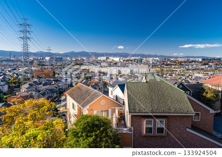 東京:住宅區和東京郊區 東京:住宅區和東京郊區 133924504