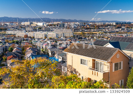 Tokyo: Residential areas and the Tokyo suburbs Tokyo: Residential areas and the Tokyo suburbs 133924509