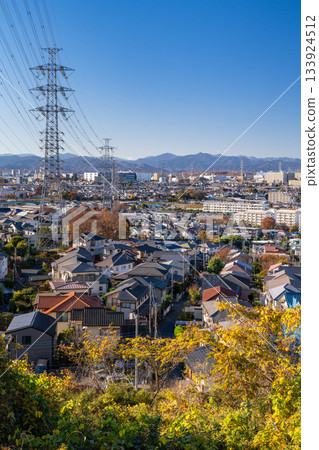 Tokyo: Residential areas and the Tokyo suburbs 133924512