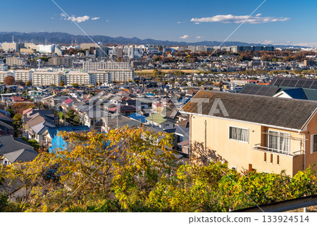 Tokyo: Residential areas and the Tokyo suburbs Tokyo: Residential areas and the Tokyo suburbs 133924514