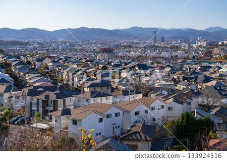 東京：住宅區和東京郊區 133924516