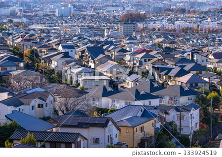 Tokyo: Residential areas and the Tokyo suburbs 133924519