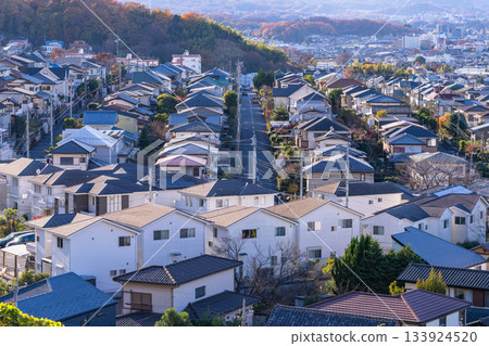 Tokyo: Residential areas and the Tokyo suburbs Tokyo: Residential areas and the Tokyo suburbs 133924520