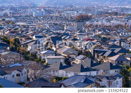 Tokyo: Residential areas and the Tokyo suburbs Tokyo: Residential areas and the Tokyo suburbs 133924522