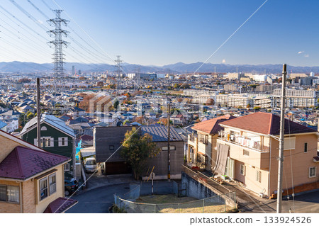 Tokyo: Residential areas and the Tokyo suburbs Tokyo: Residential areas and the Tokyo suburbs 133924526