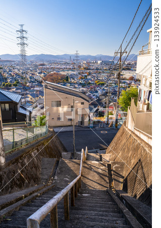 Tokyo: Residential areas and the Tokyo suburbs Tokyo: Residential areas and the Tokyo suburbs 133924533
