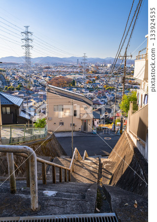 Tokyo: Residential areas and the Tokyo suburbs Tokyo: Residential areas and the Tokyo suburbs 133924535