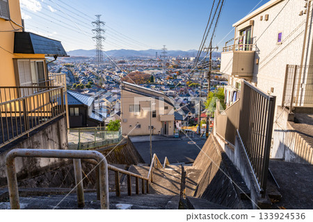 Tokyo: Residential areas and the Tokyo suburbs 133924536