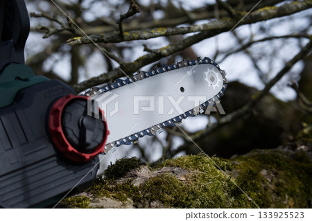 Electric chainsaw rests on a mossy branch, ready for pruning with its sharp blade. Electric chainsaw rests on a mossy branch, ready for pruning with its sharp blade. 133925523
