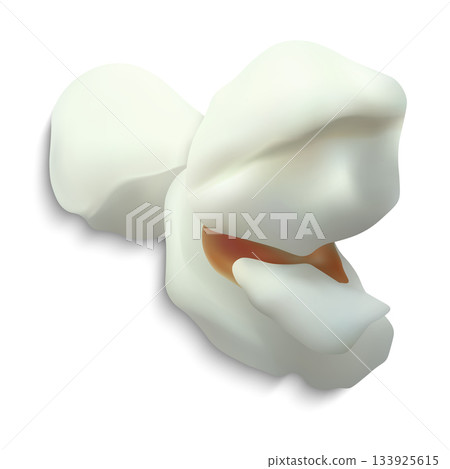 Realistic popcorn icon, a fluffy, sweet or salty piece of corn kernel. Realistic popcorn icon, a fluffy, sweet or salty piece of corn kernel. 133925615