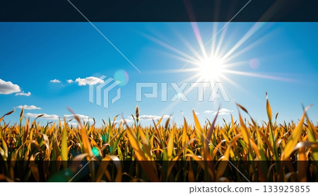 An interior view of a restaurant or c, where several people are seated around tables, engaged in conversations and meals An interior view of a restaurant or c, where several people are seated around tables, engaged in conversations and meals 133925855