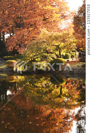 秋日花園 133927058