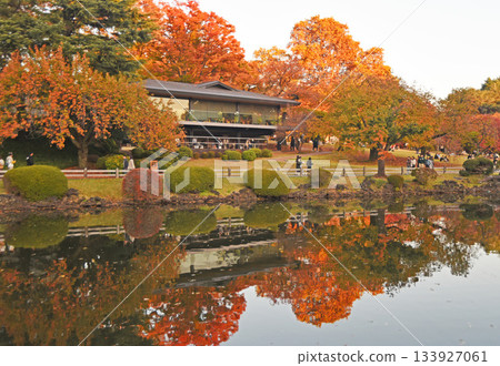 Autumn Garden 133927061