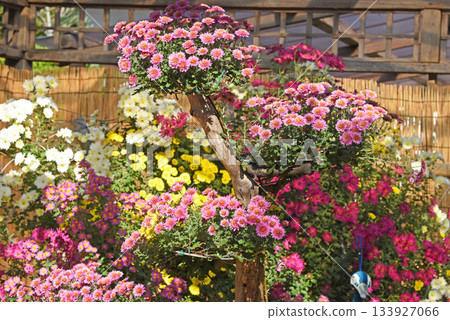 美麗的花壇 133927066