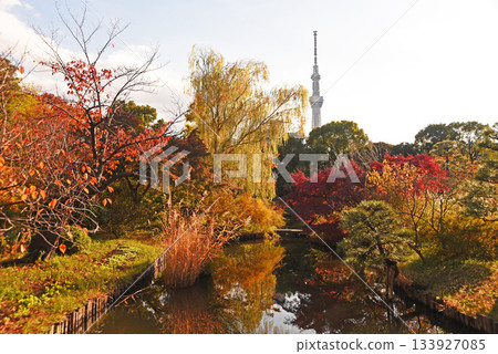 野花花園景色 野花花園景色 133927085