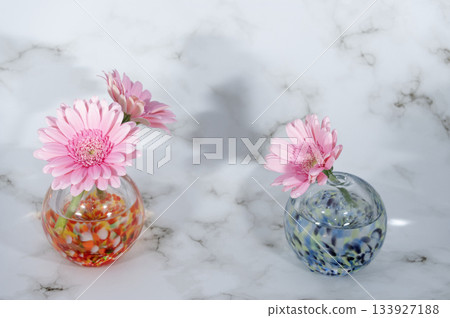 玻璃花瓶裡插著兩朵粉紅色的非洲菊 玻璃花瓶裡插著兩朵粉紅色的非洲菊 133927188