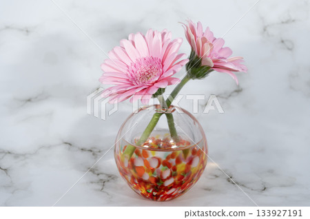 兩朵粉紅色的非洲菊插在溫暖的玻璃花瓶裡(中心)。 兩朵粉紅色的非洲菊插在溫暖的玻璃花瓶裡(中心)。 133927191