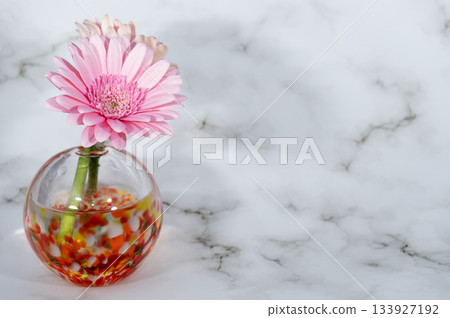 兩朵粉紅色的非洲菊插在溫暖的玻璃花瓶裡(最左邊) 兩朵粉紅色的非洲菊插在溫暖的玻璃花瓶裡(最左邊) 133927192