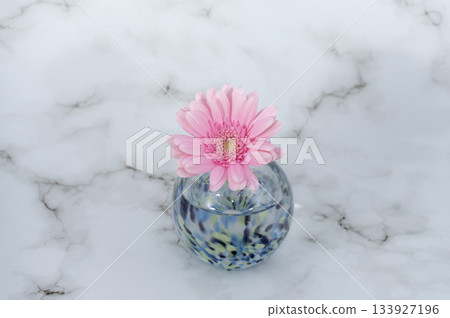 A single pink gerbera flower in a cool-toned glass vase (bottom center) A single pink gerbera flower in a cool-toned glass vase (bottom center) 133927196