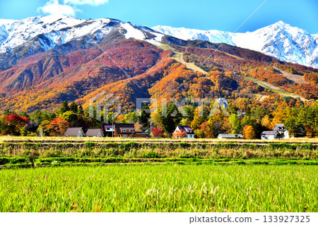 Hakuba Village scenery / Overlooking the Hakuba Happo-one Ski Resort (Hakuba Village, Nagano Prefecture) [November 2025] 133927325