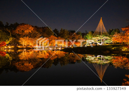 Reflections of illuminated autumn leaves Reflections of illuminated autumn leaves 133927349