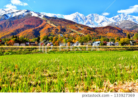 從白馬村眺望白馬八方尾根滑雪場和白馬三山（長野縣白馬村）[2025年11月] 133927369
