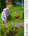 Filled with happiness, a young female gardener waters her vibrant flower beds using a traditional watering can on a beautiful summer afternoon outdoors. 133927379