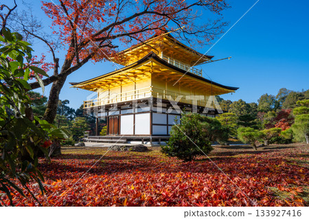Kyoto Kinkakuji Temple in the fall Kyoto Kinkakuji Temple in the fall 133927416