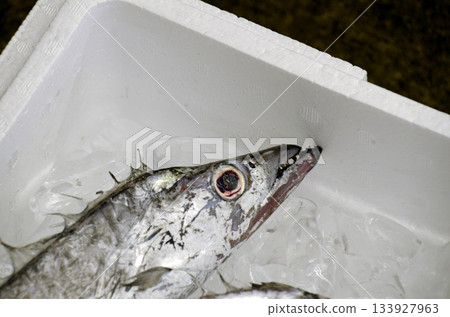 Tattoo Tattoo 133927963