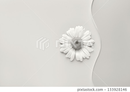 Daisy flower displaying simple elegance and minimalism. Color of the Year concept Daisy flower displaying simple elegance and minimalism. Color of the Year concept 133928146