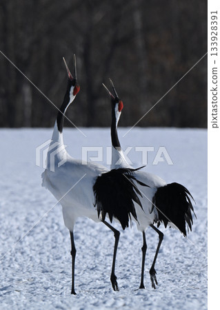 起重機起重機 起重機起重機 133928391