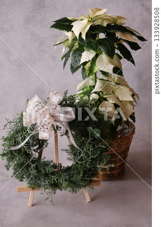 一品紅和花環 133928508