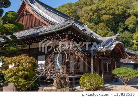 Kobe - Autumn leaves at Suma-dera Temple 133928536