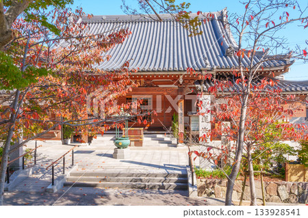 神戶 - 須磨寺蒲茂院的秋葉 133928541